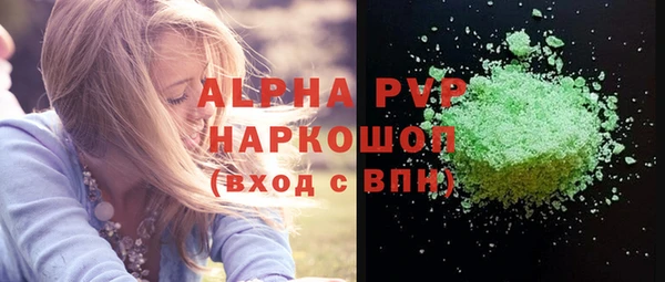 хмурый Абаза