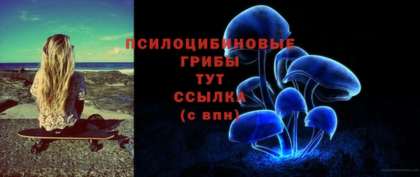 гидра Нязепетровск